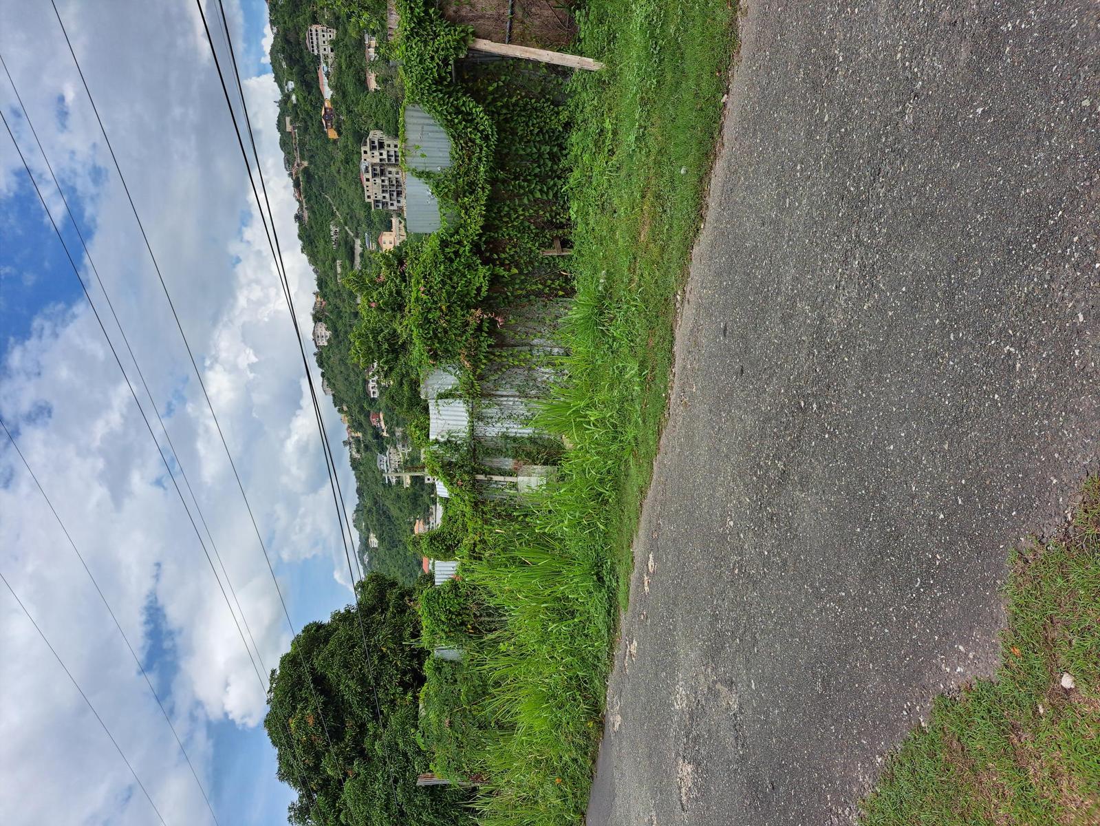 Residential Lot on Mayfield Avenue, Kingston 19 — photo 1
