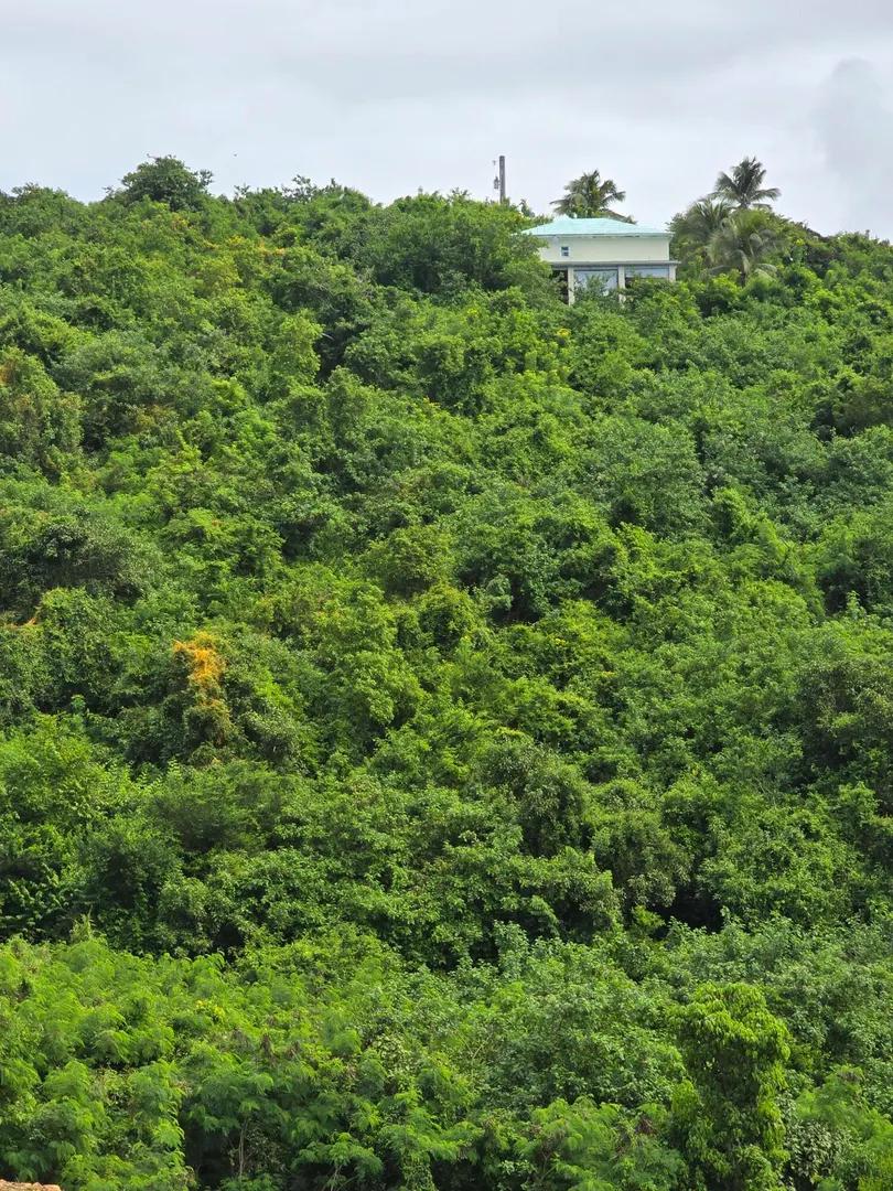 1.25 Acre Lot with Sea View in St. Croix — photo 4
