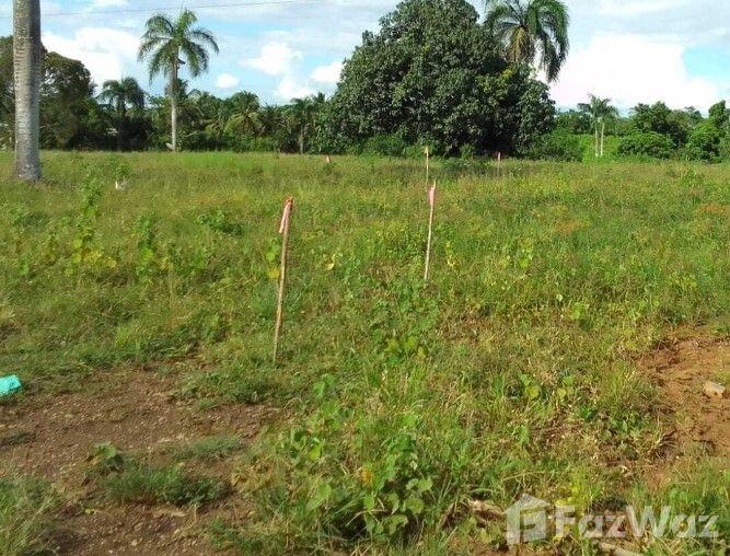 Land for Sale at Carr. La Victoria — photo 4