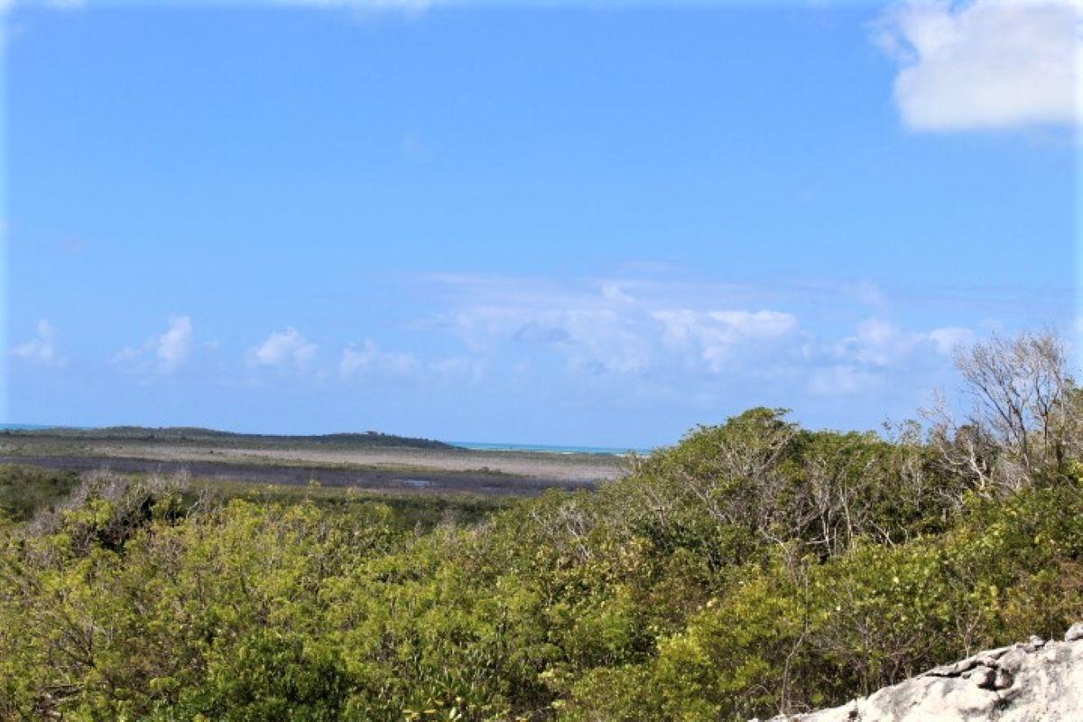 LOT# C3 SCRUB HILL — photo 4
