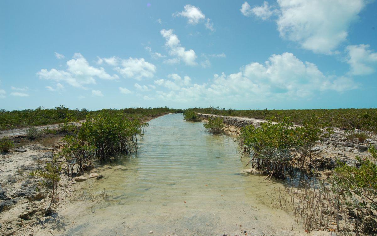 Vacant Land for sale - Lot 1075 - Mls 65289 — photo 3
