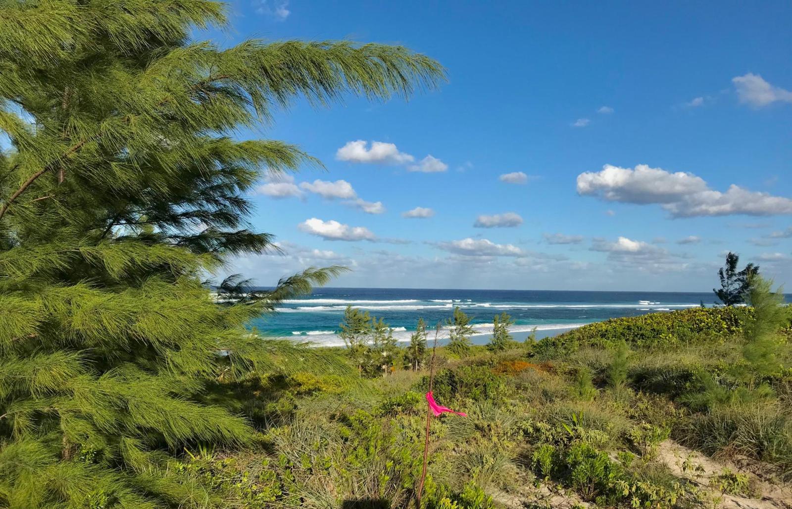 OCEAN VIEW LOT C1 GOVERNO — photo 2
