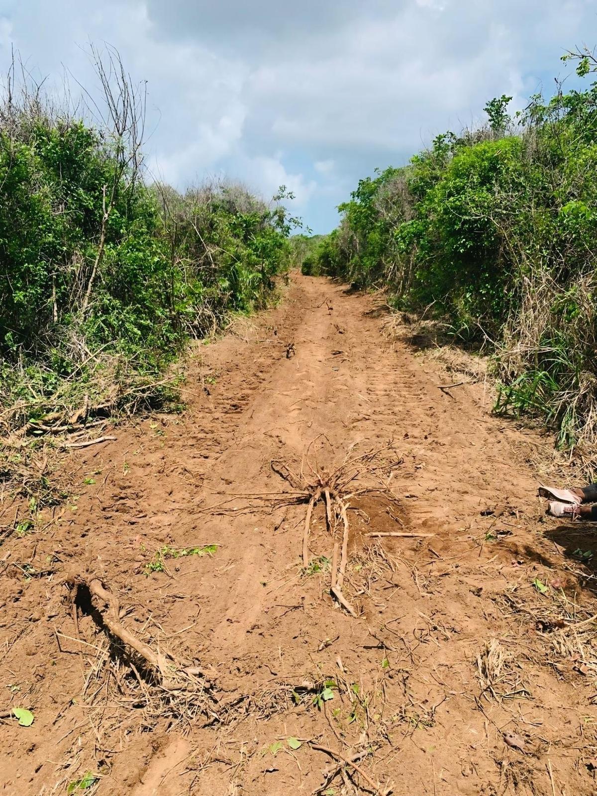 LOT B – QUEEN’S HIGHWAY — photo 4