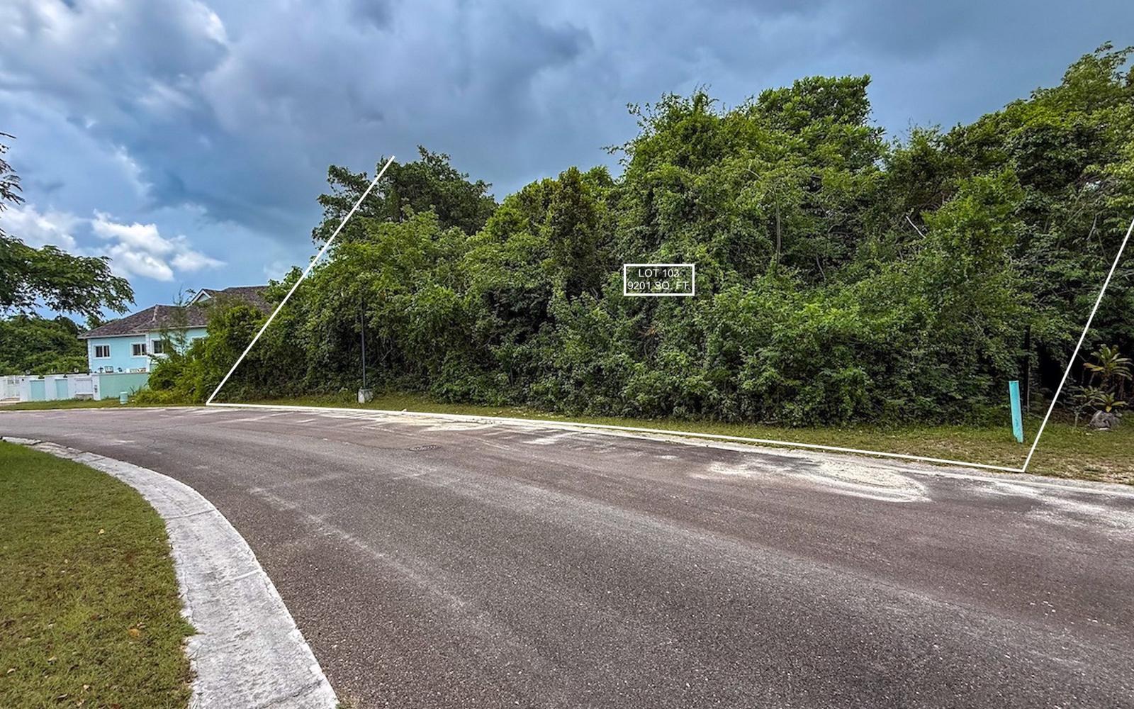 Lot 103, Lyford Hills - Mls 68110 — photo 1