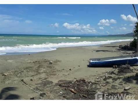 4700.04 SqM Land Plot in Gaspar Hernandez — photo 4