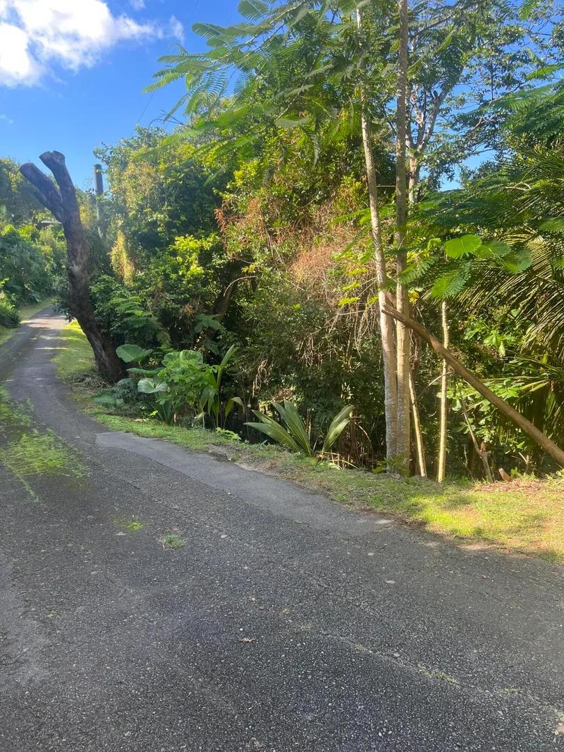 0.56 Acre Homesite in Mafolie Estates, St. Thomas — photo 2