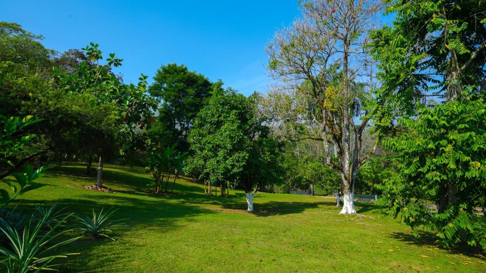 2 Bedroom Home for Sale, Ojochal, Puntarenas, Costa Rica — photo 5
