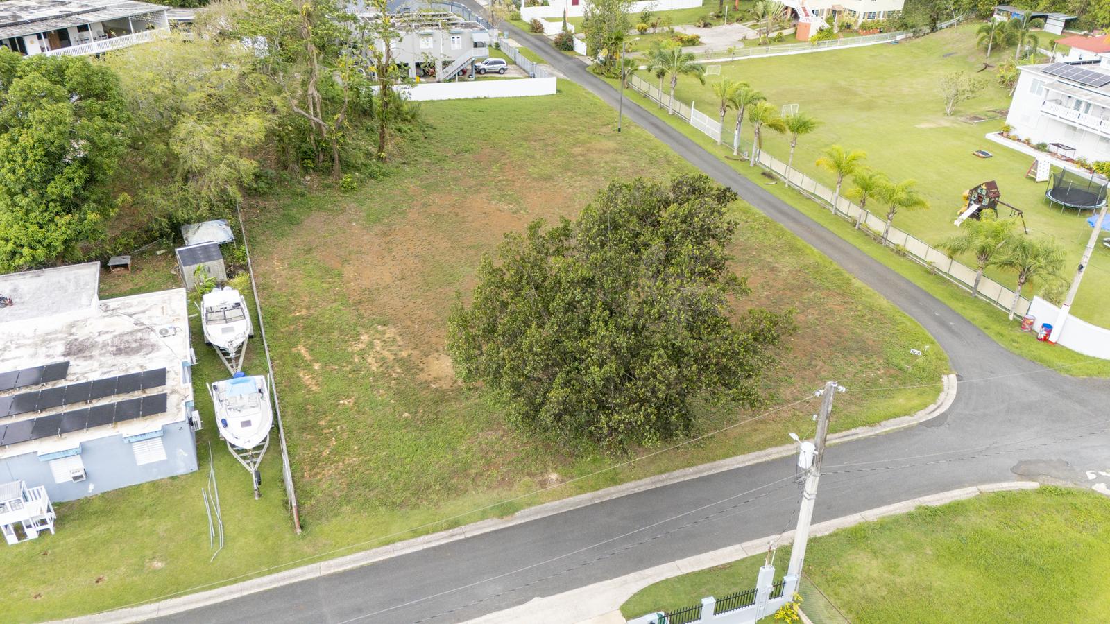 Big Land in Dorado available for sale! — photo 4