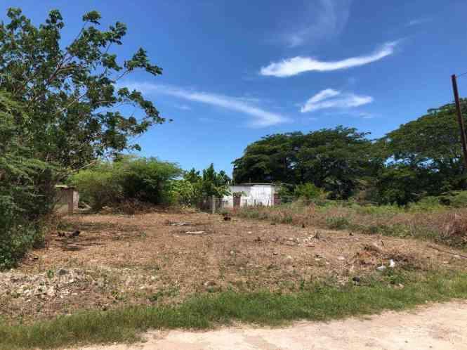 Land for sale in Milk River Clarendo, Jamaica — photo 5