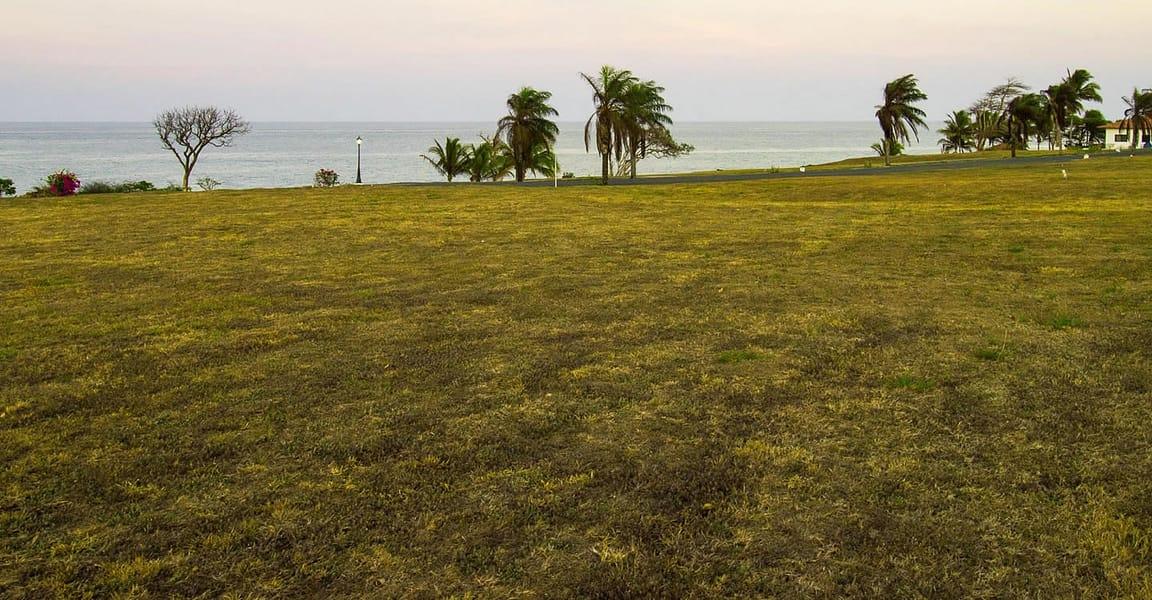 0.2 Acre Lot for Sale in Andromeda, Pedasi, Panama — photo 1