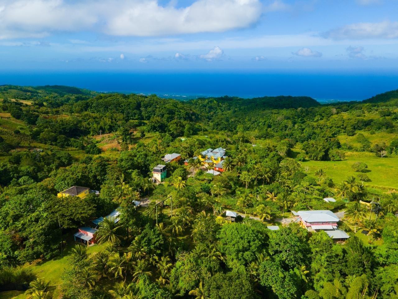 28 Acre Adventure Site & Guest House for Sale, Free Hill, St Ann, Jamaica — photo 1