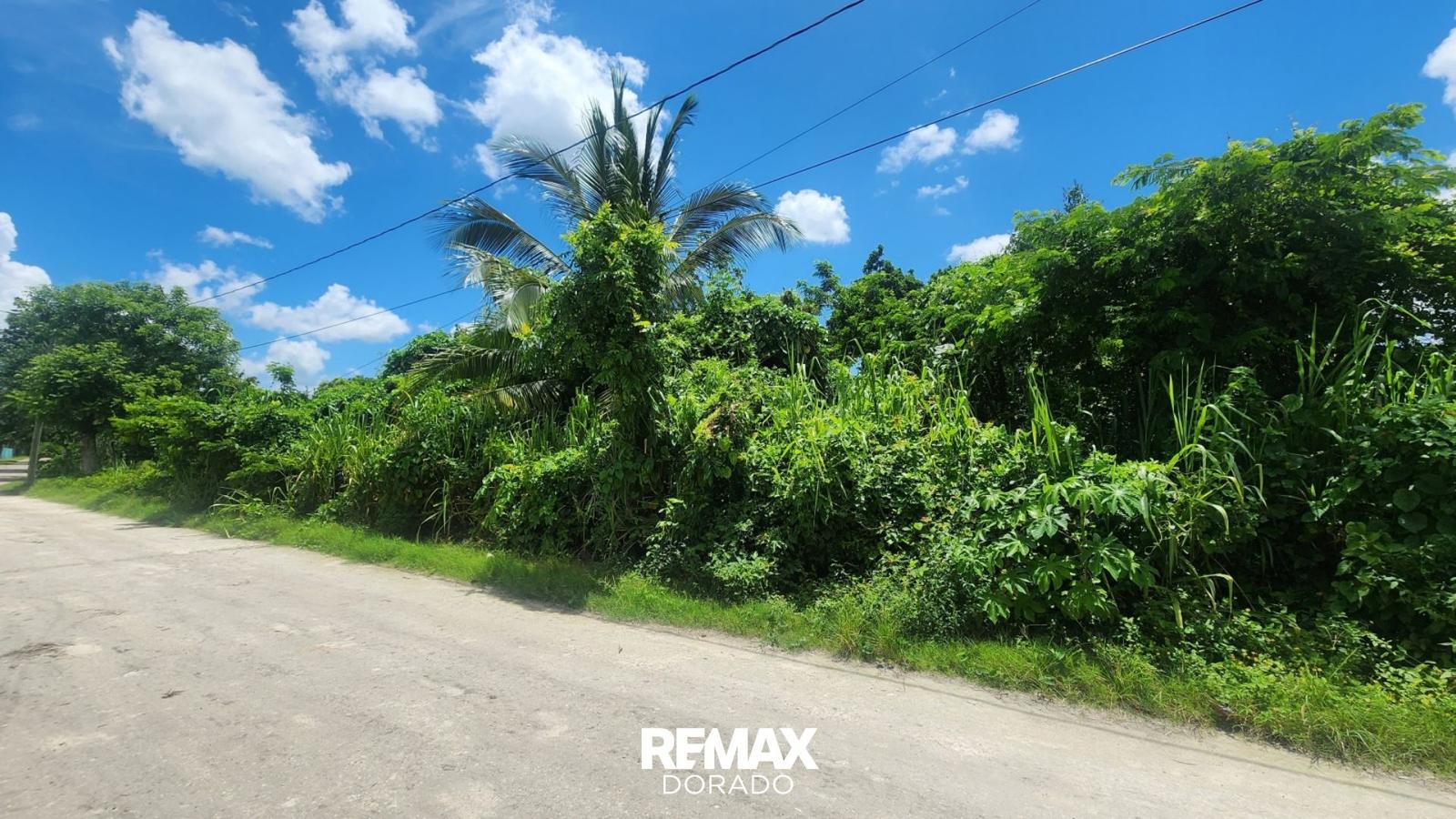 Riverfront Property for Sale in Corozal District — photo 5