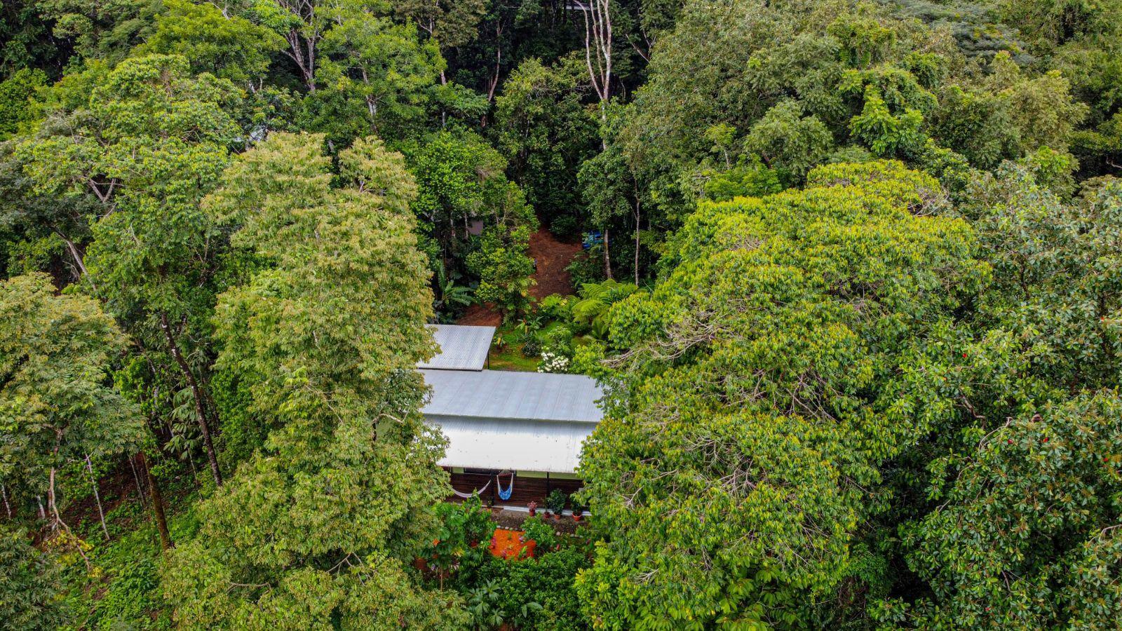 11-Acre Multi-Unit Jungle Property for Sale, Lagunas, Dominical, Puntarenas, Costa Rica — photo 2