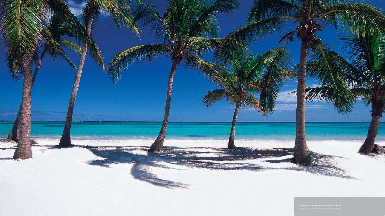 1 Bedroom Apartment in Cap Cana — photo 2