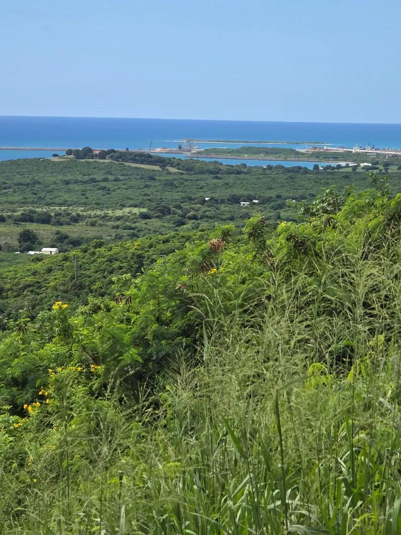 1.25 Acre Lot with Sea View in St. Croix — photo 2