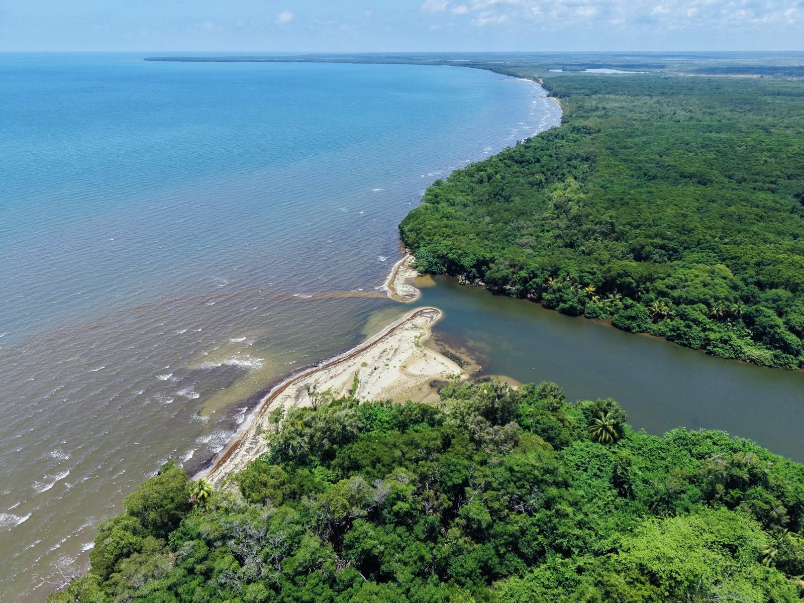 Off Grid Beachfront Property | Mullins River Coastal Highway, Belize — photo 4