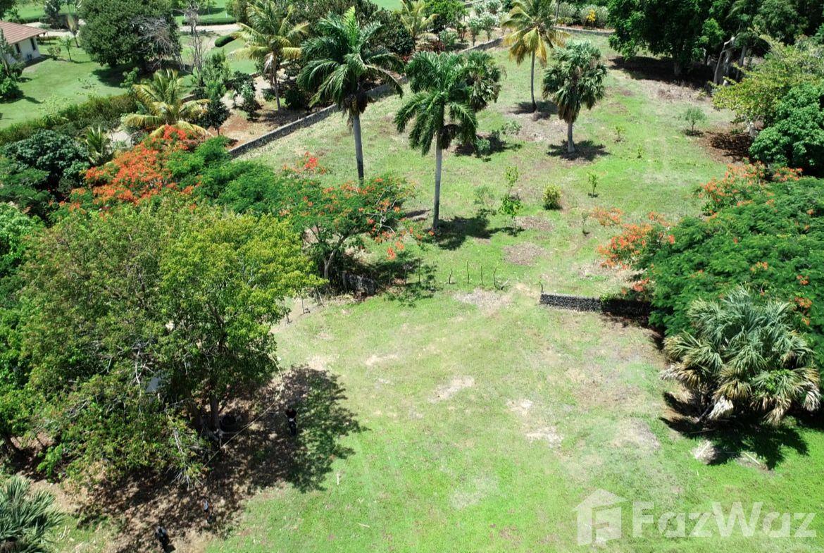 Beautiful Building Lot in Hacienda El Choco — photo 5