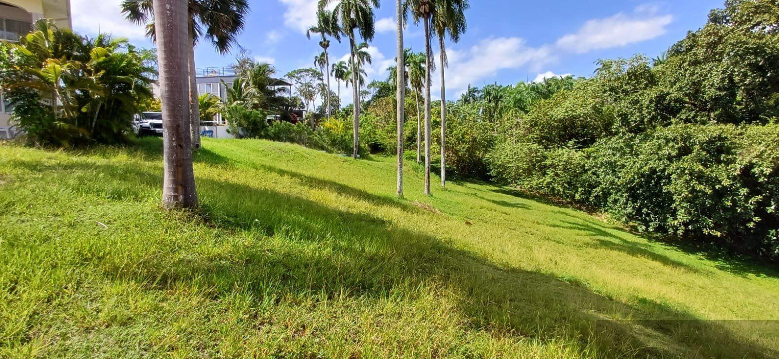 Oceanview Residential Lot in La Mulata, Sosúa — photo 5