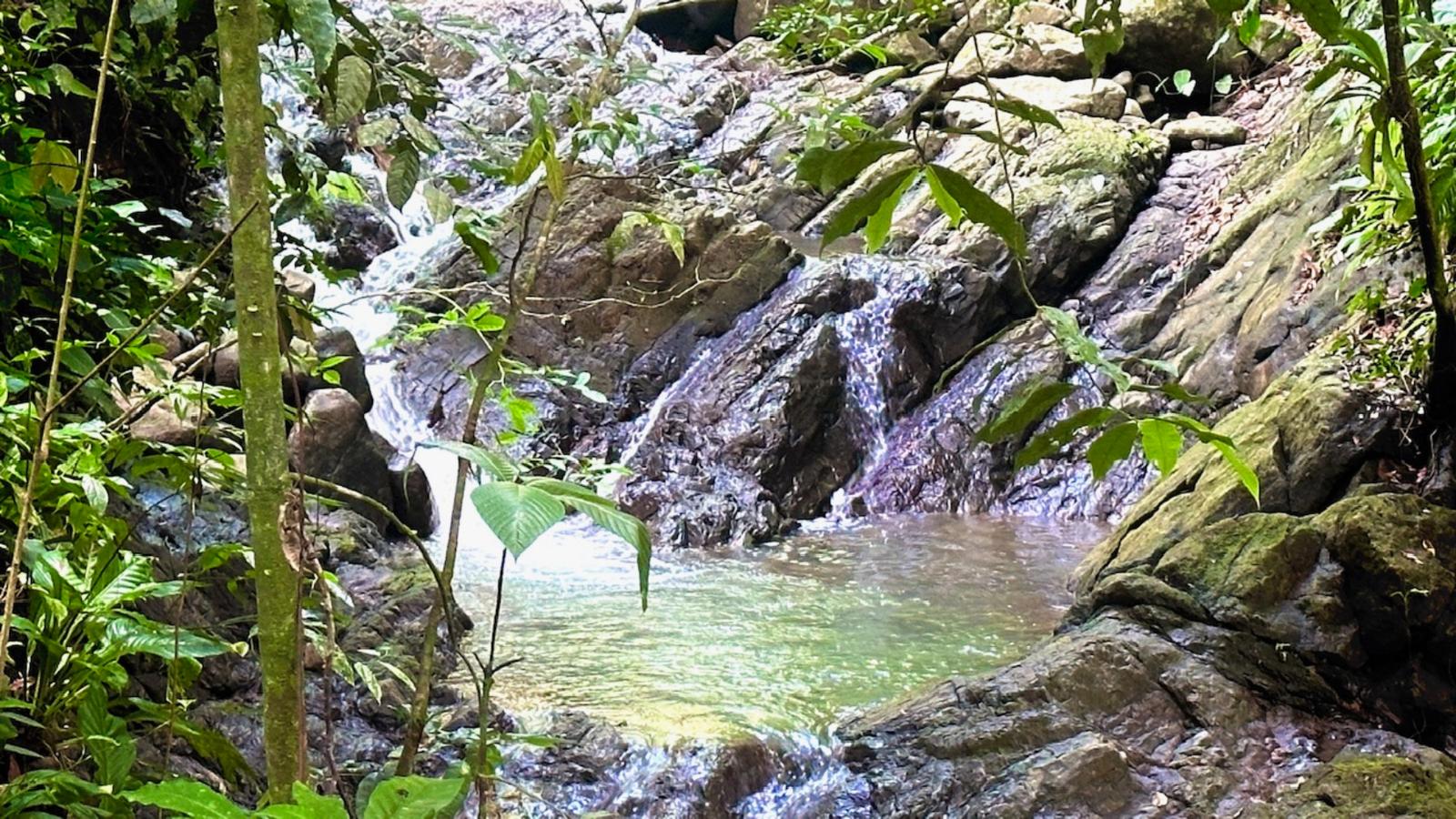 8.8 Acres of Land for Sale in Dominicalito, Puntarenas, Costa Rica — photo 4