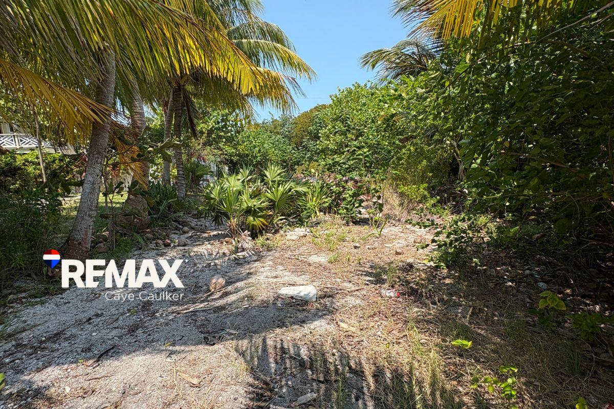 Waterfront Lot for Sale on North Caye Caulker — photo 5