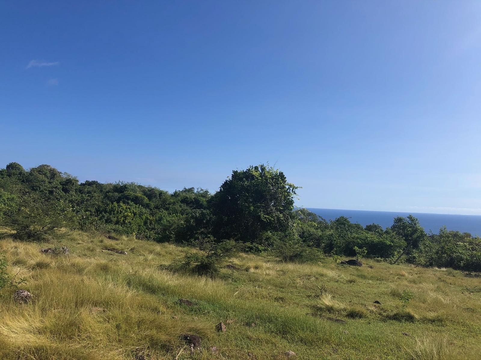 14 Acres Development Land in Gingerland, Nevis — photo 2