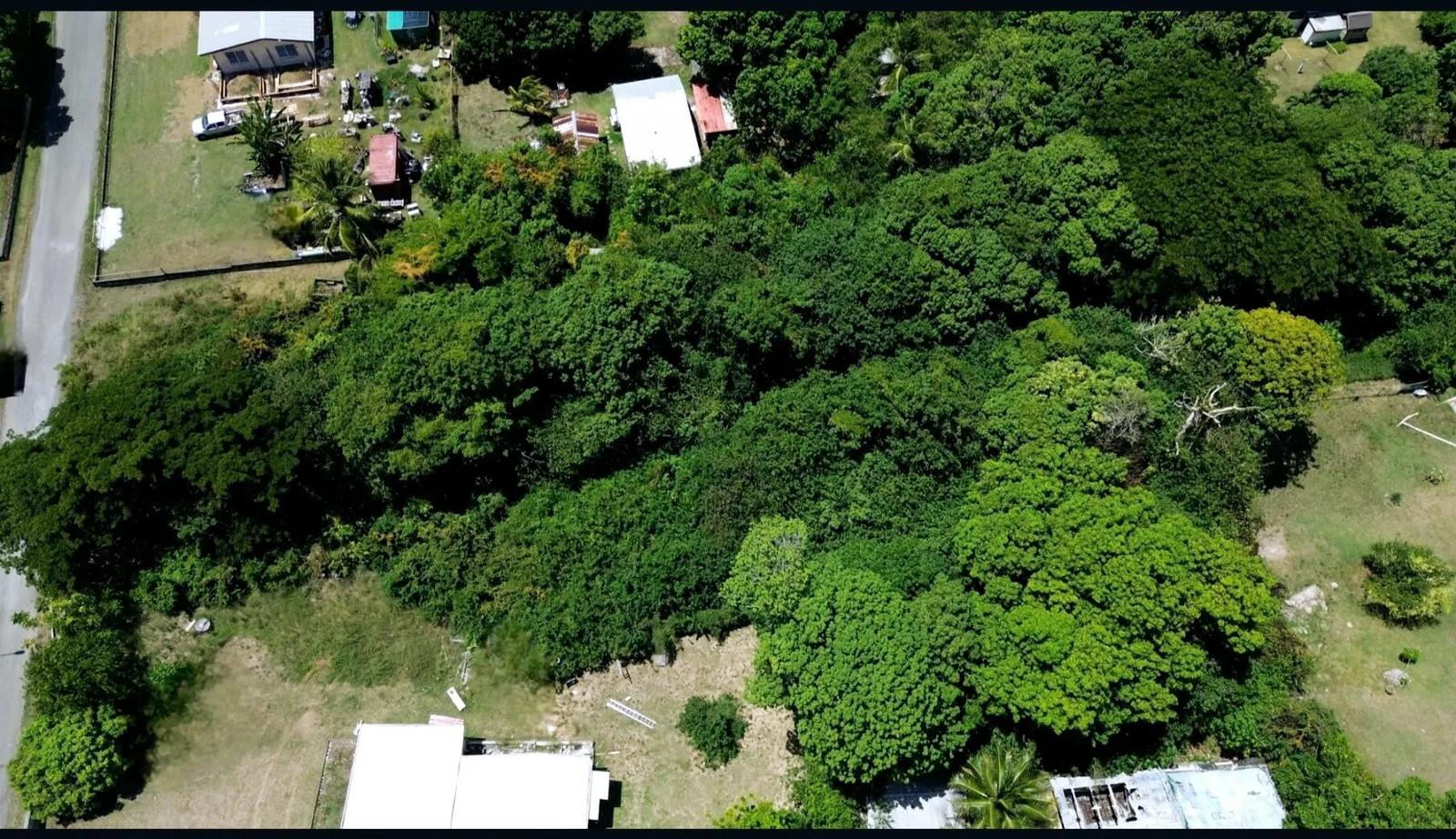 0.79 Acre Lot in Estate Glynn, US Virgin Islands — photo 4