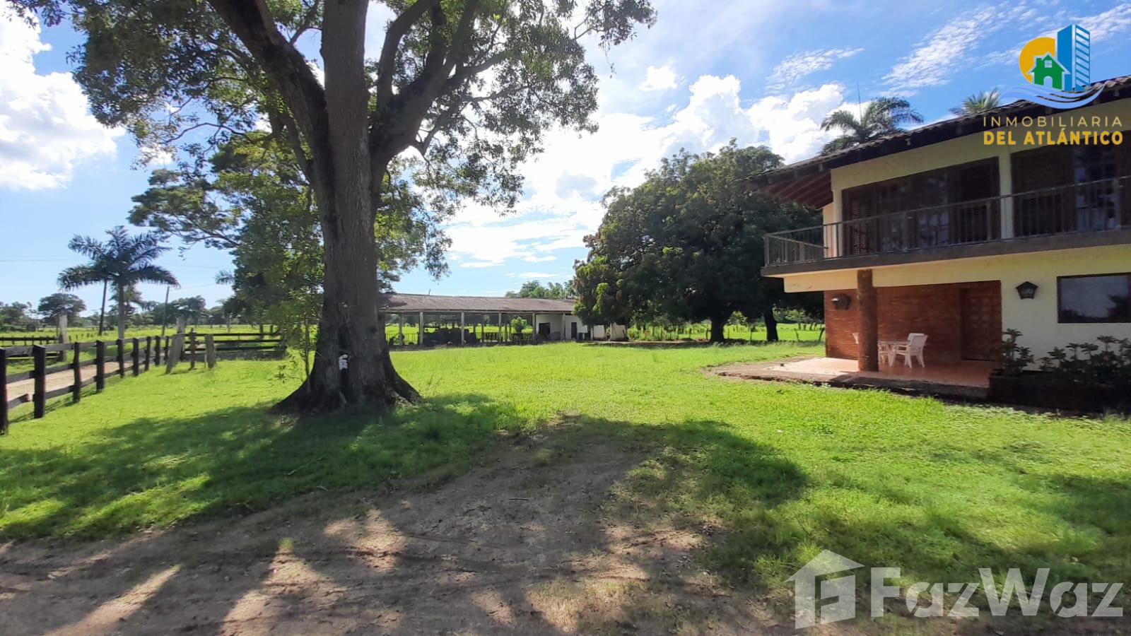 Farm for sale in Hato Mayor DR — photo 4
