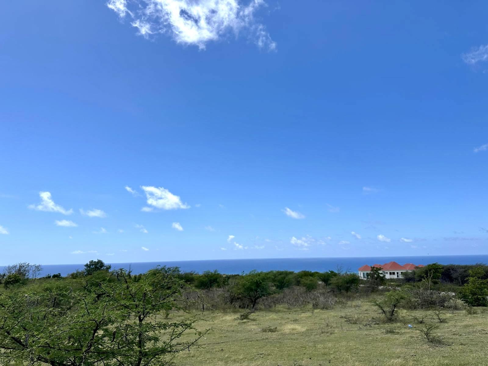1 Acre Lot for Sale, Busch Hill, Nevis — photo 2