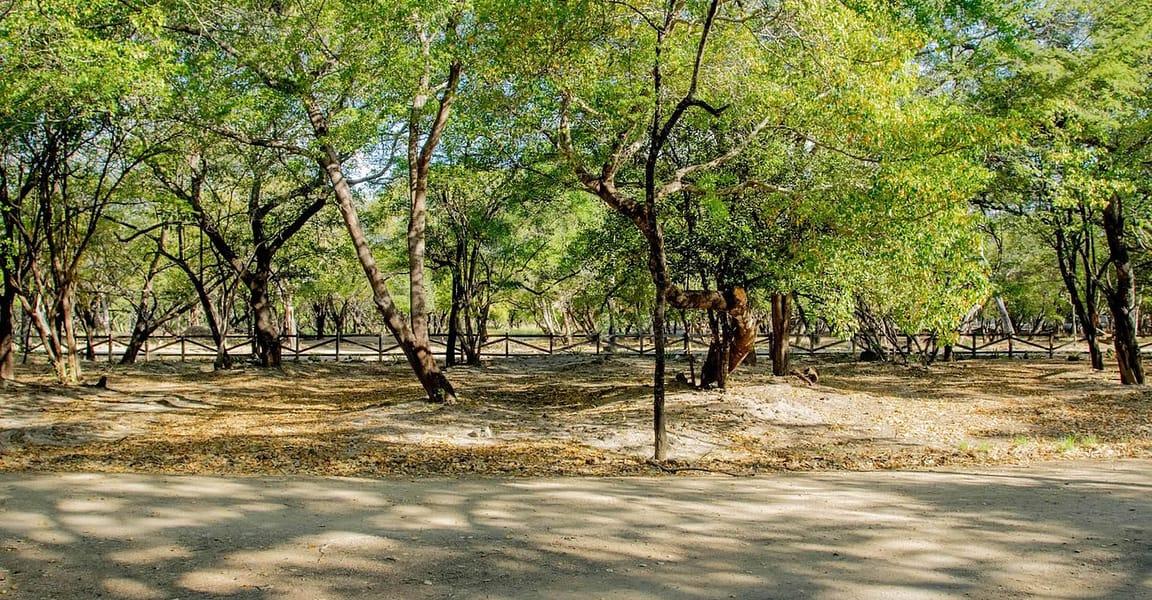 0.12 Acre Lot for Sale in Costamar, Hacienda Iguana, Nicaragua — photo 4