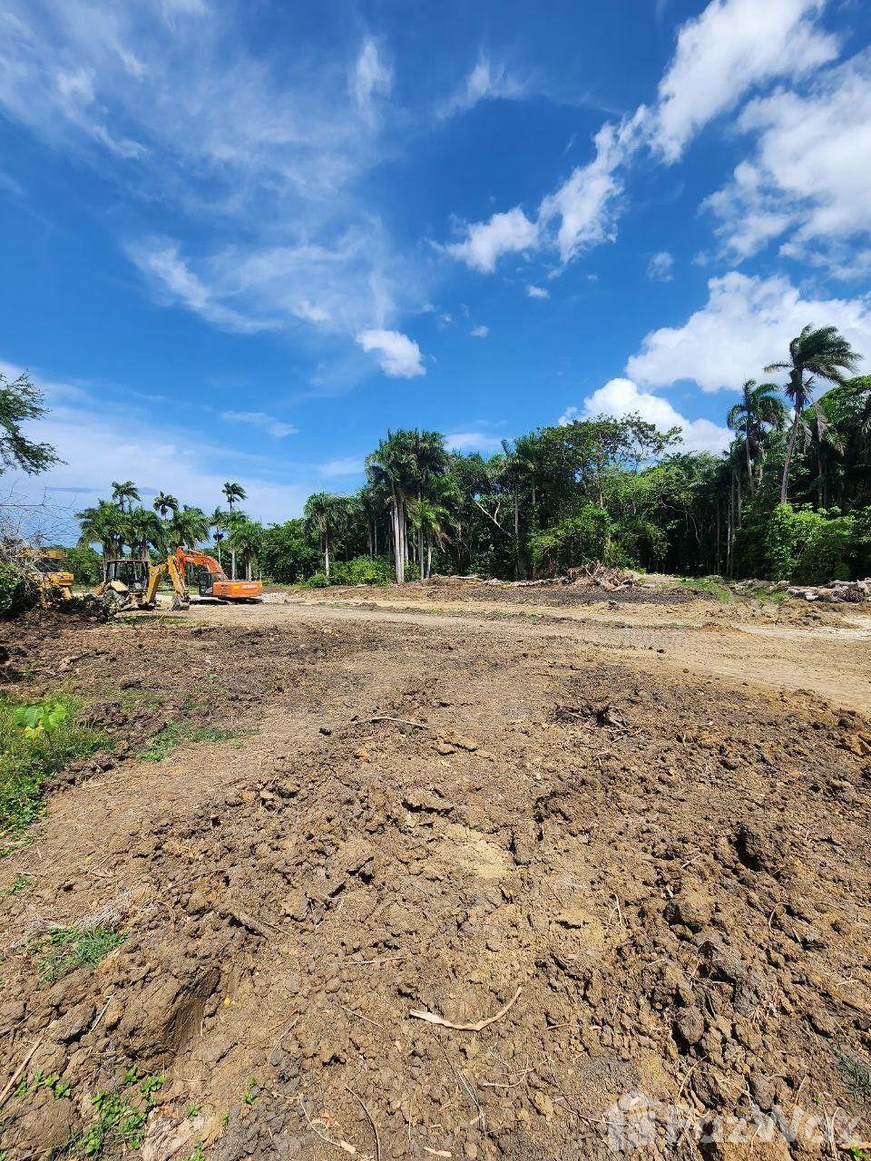 Land for sale in Muñoz, Puerto Plata — photo 3