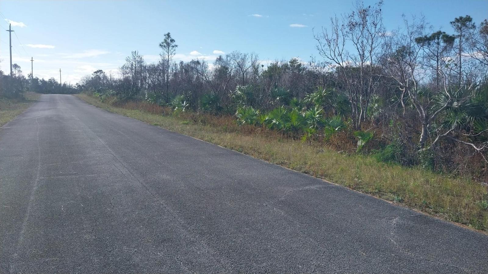 4 Bronze Drive — photo 3