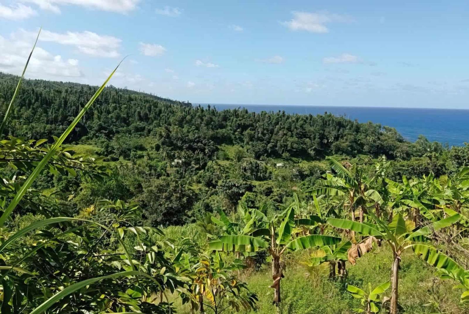 20 Acre Eco Lodge for Sale, La Plaine, Dominica — photo 2