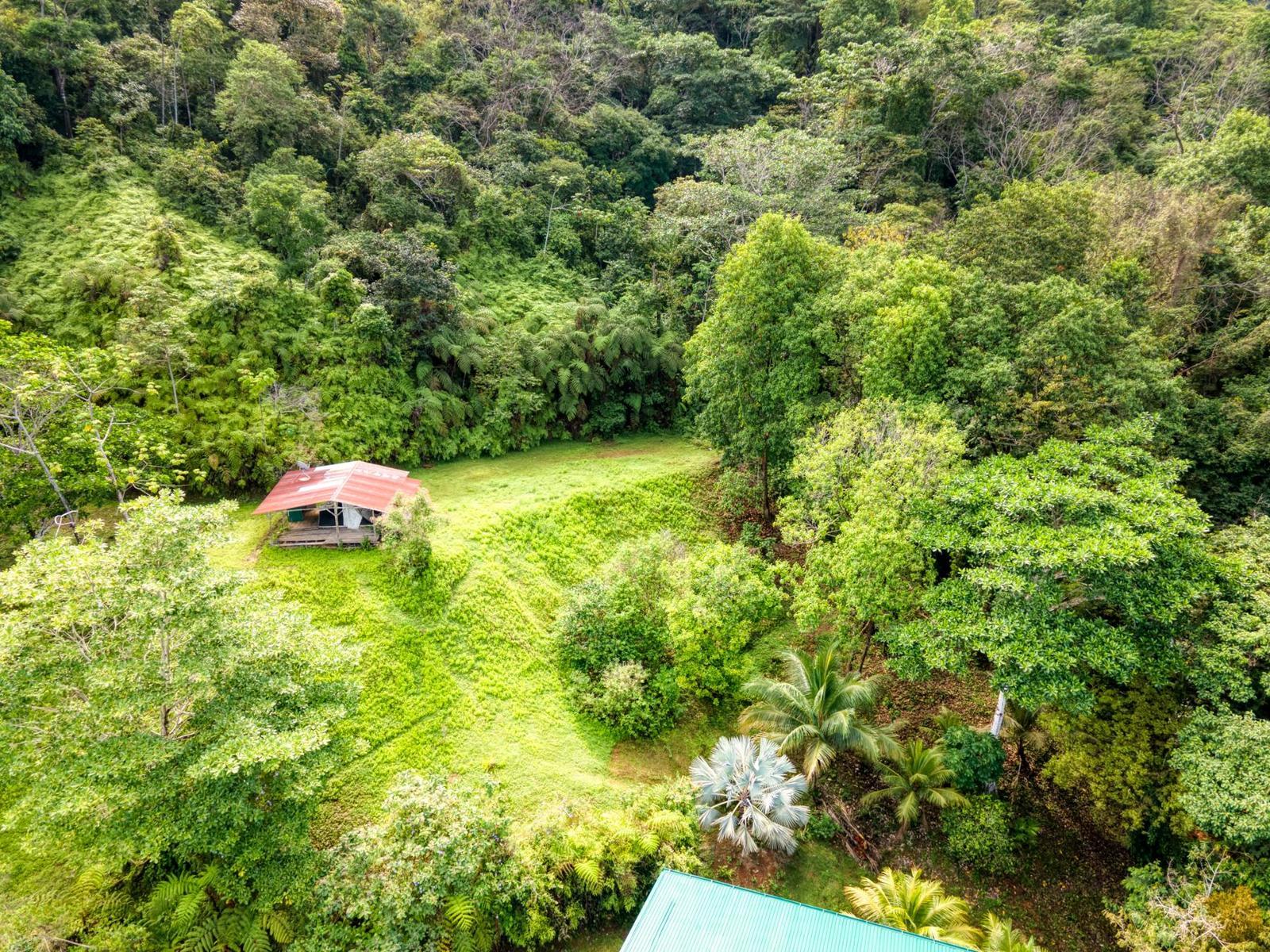 8 Bedroom Property for Sale, Portalon / Matapalo, Puntarenas, Costa Rica — photo 4