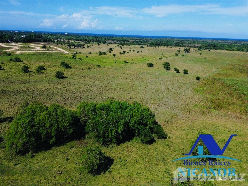 600,000 square meter land for sale in Puerto Plata — photo 4