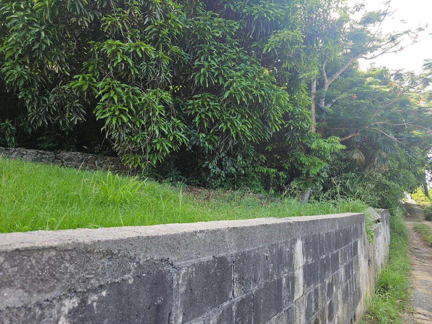 0.32 Acre Homesite in West Caret Bay, St. Thomas — photo 3
