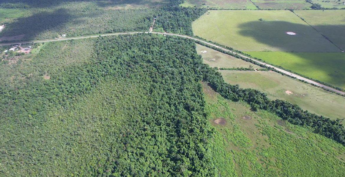 131 Acres of Rich Jungle on the Southern Highway — photo 2