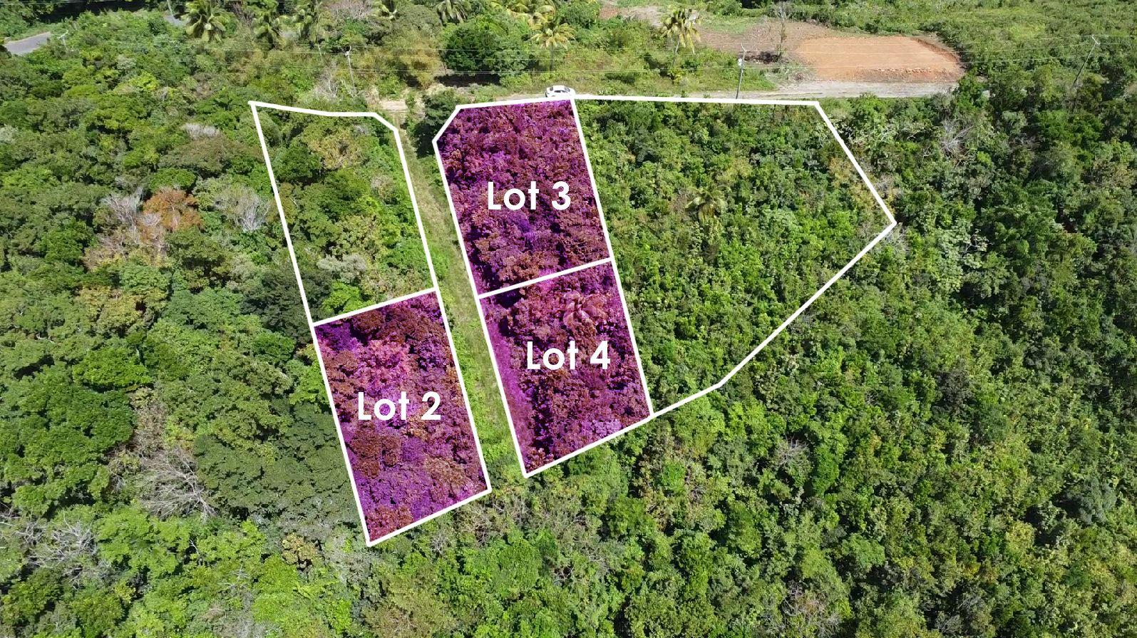 Gomier Heights Development – Breathtaking Lots in Mount Le Blanc, Laborie — photo 2