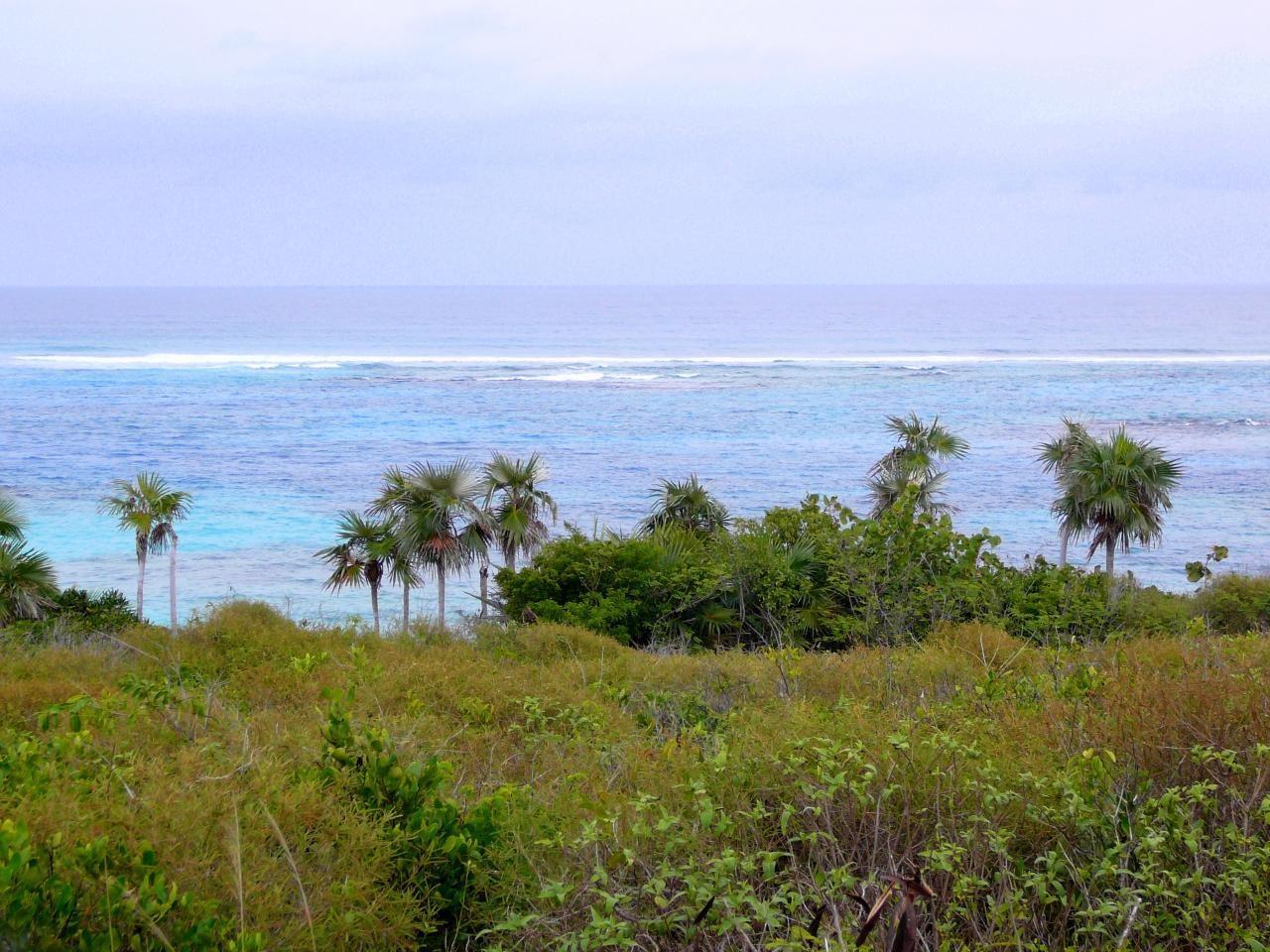 TURTLE COVE — photo 1