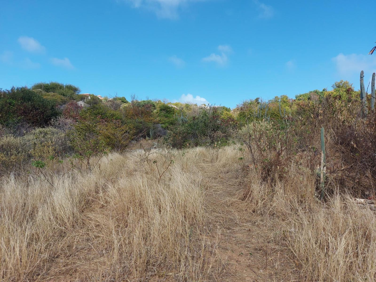 Princess Quarters Lot 5 Virgin Gorda — photo 2