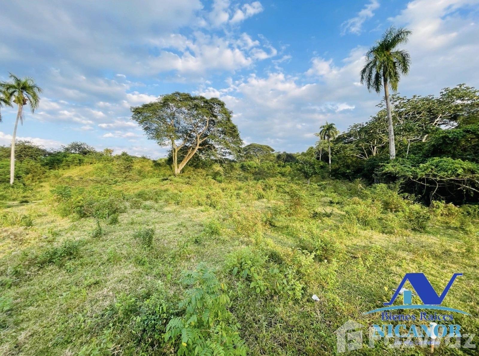Cattle ranch for sale of 1,150 tareas in Guananico pop — photo 1