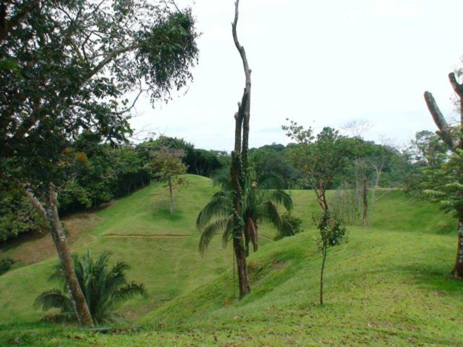 15 Acres of Ocean-View Land for Sale in Manuel Antonio — photo 1