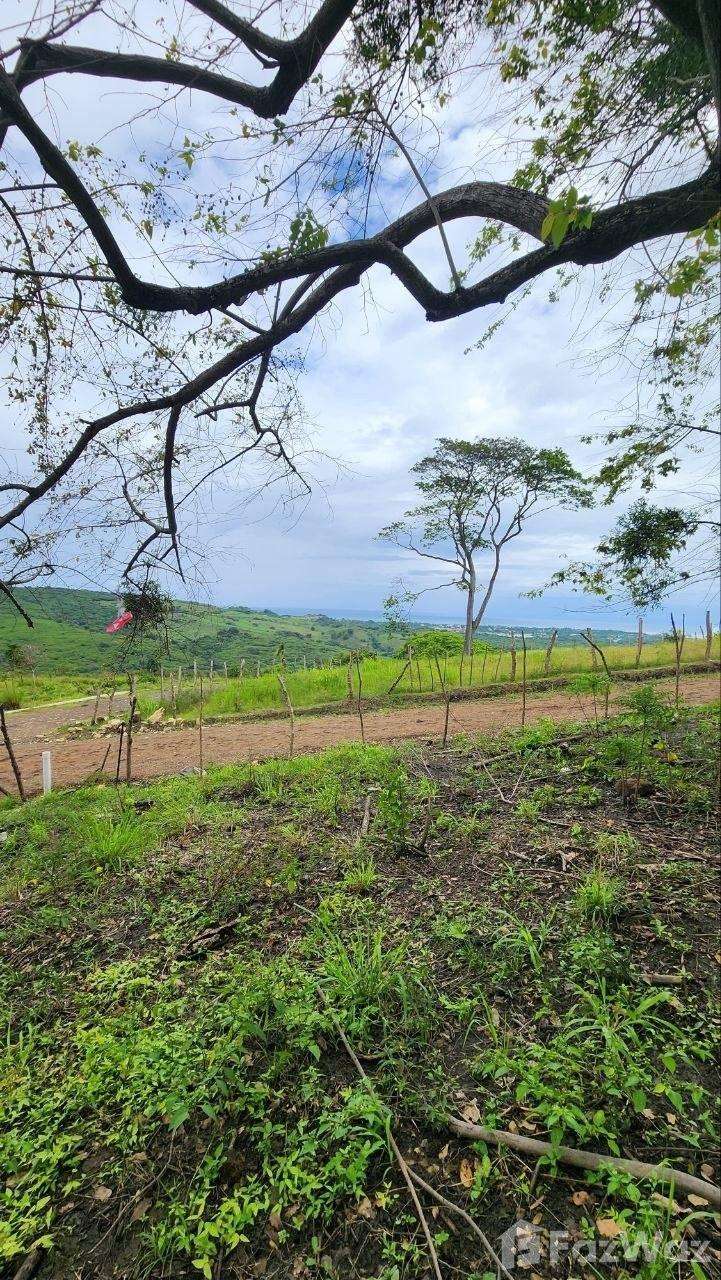 🌊🏞️ Live Between the Sea and the Mountains in Puerto Plata 🏞️🌊 — photo 4