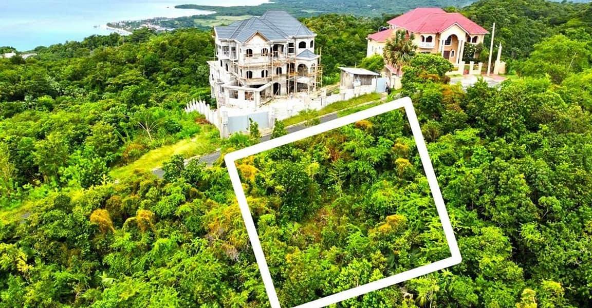 0.51 Acre Lot for Sale in Anchor, Culloden, Westmoreland, Jamaica — photo 1