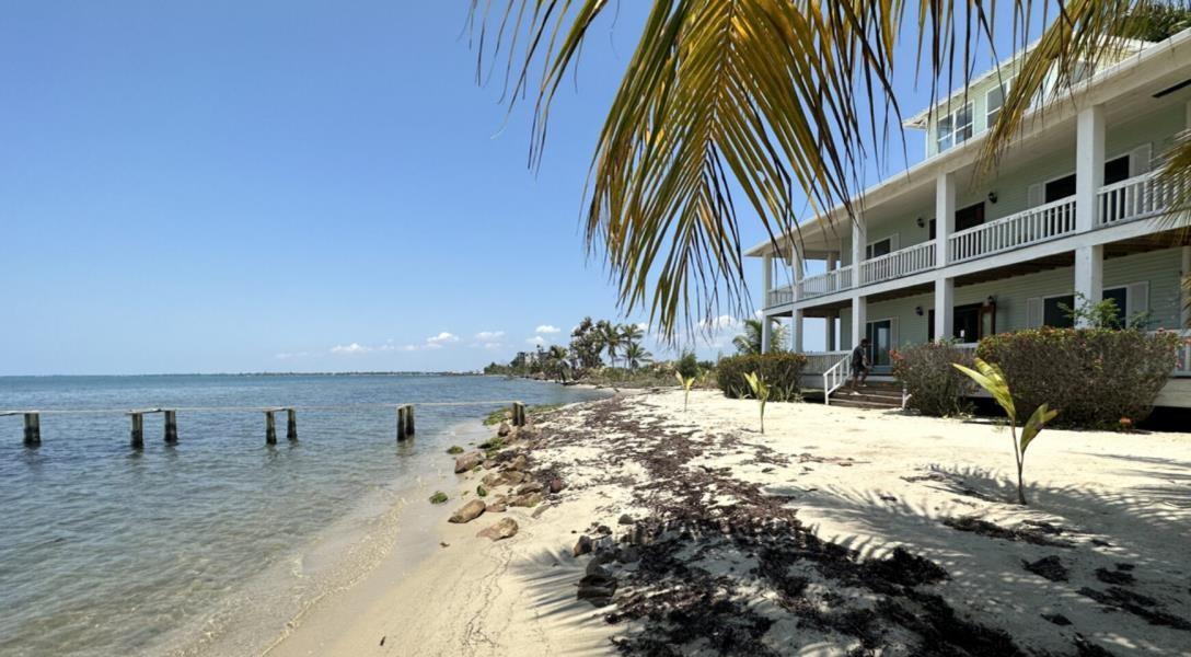 Beach House in the heart of Plantation — photo 4