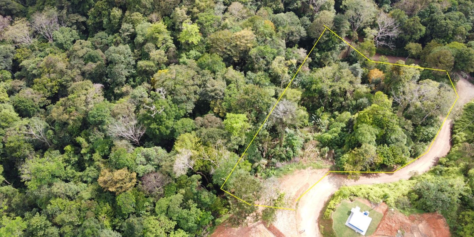 2.42 Hectares of Ocean View Land for Sale in Cinco Ventanas, Ojochal, Costa Rica — photo 4