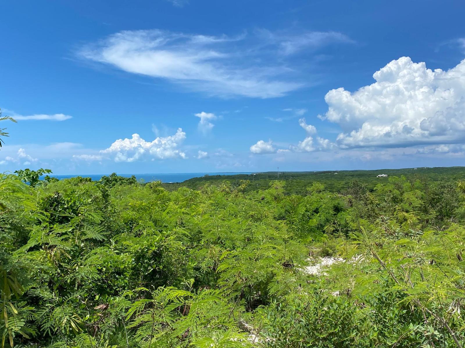 ELEUTHERA ISLAND SHORES — photo 1