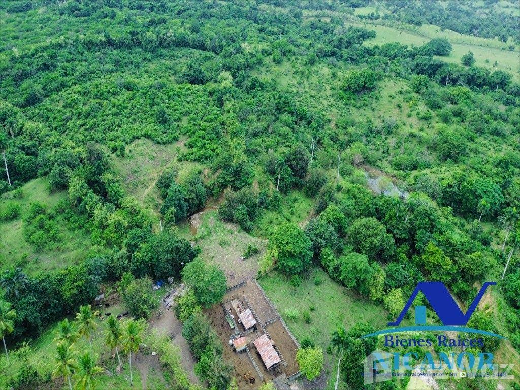5,200 tareas cattle farm for sale — photo 1