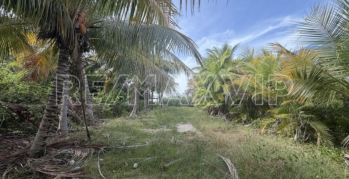 Exclusive Waterfront Lot in Vista Cove — photo 3