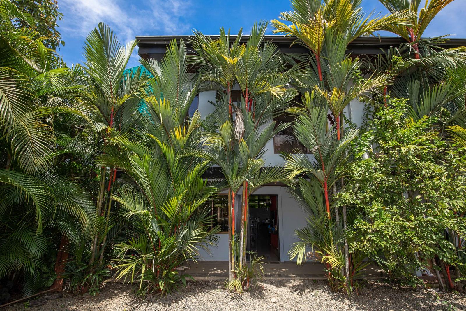 16 Bedroom Hotel for Sale, Uvita, Puntarenas, Costa Rica — photo 1