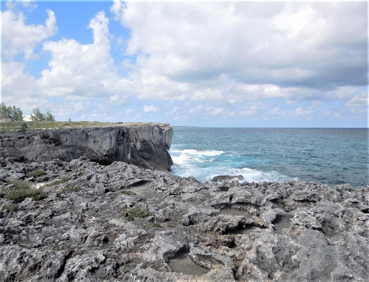 WHALE POINT — photo 4